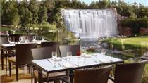 Wynn