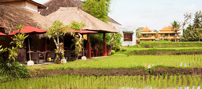 Rejser til Ubud.
