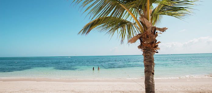 Rejser til Key West.