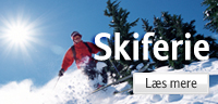 Skirejser