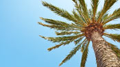 Miljöanpassning