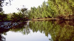 Creek fishing