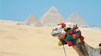 Cairo 1 dag