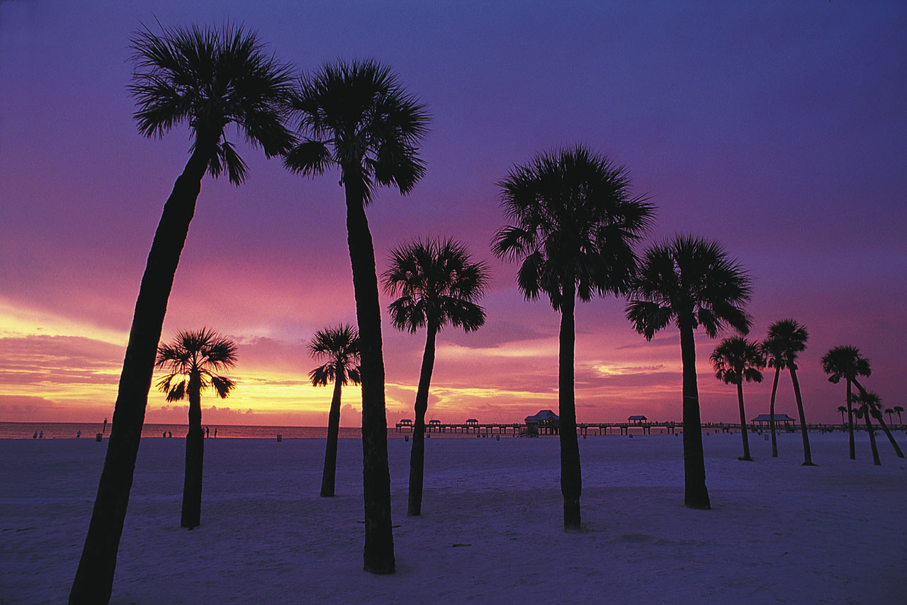 Clearwater Beach Usa Billeder Fra Clearwater Beach Spies